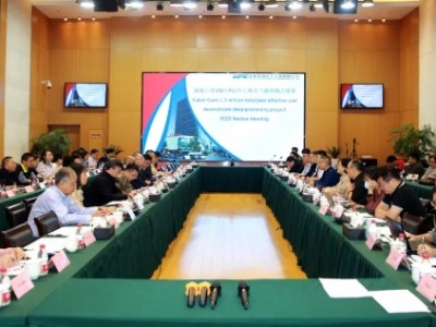 福建古雷乙烯深加工项目基础设计审查会成功召开