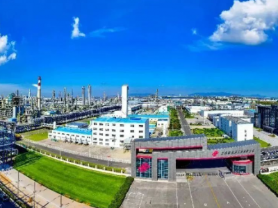 盛虹石化技术突破，光伏级EVA树脂制备领跑国内市场