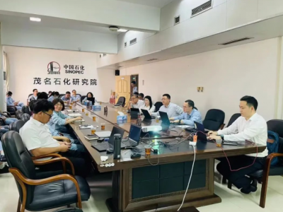 化销华南深化'一企一制'策略，助力合成树脂品牌建设