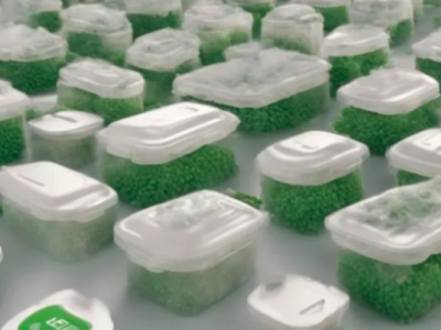 Itelyum与Plasta Rei联手将食品包装废物转化为高质量rPET颗粒