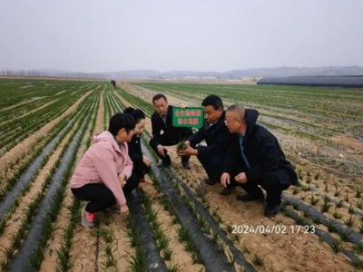 山西成功研制0.006毫米生物降解渗水地膜