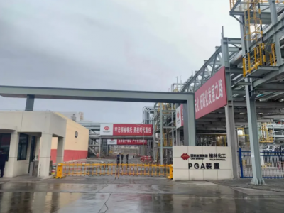 国能榆林化工启动20万吨PGA项目，助推榆林能源创新示范区建设