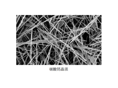晶须材料：高性能增强纤维的新星