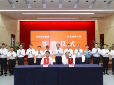 万华化学与苏盐井神强强联手，共筑盐化工产业链新未来