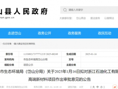 浙江石化高端新材料项目详情来了！