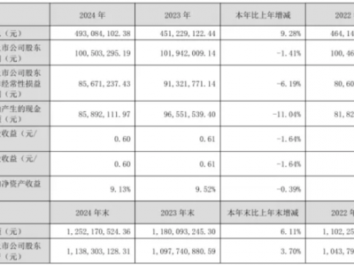 营收增利润降，宁波色母2024年业绩为何 “冰火两重天”？