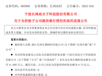 长鸿高科:关于为控股子公司提供银行授信担保的进展公告