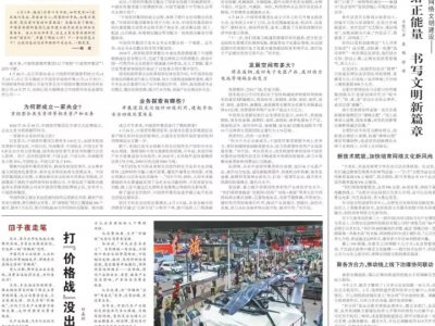 人民日报评中国资环集团