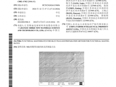 斯迪克公布功能母粒国际专利申请