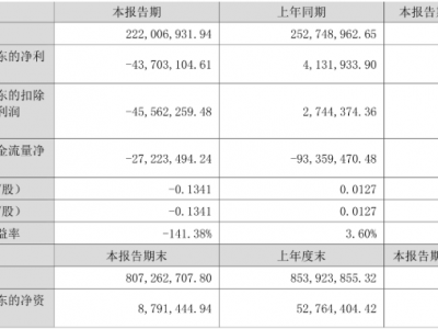 天晟新材：2025年上半年亏损4370.31万元