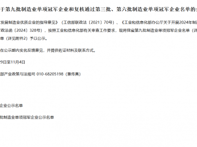 宝丽迪，获制造业单项冠军！