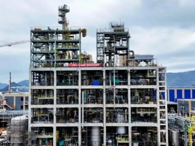 恒申集团尼龙6 T2T回收项目冲刺投产