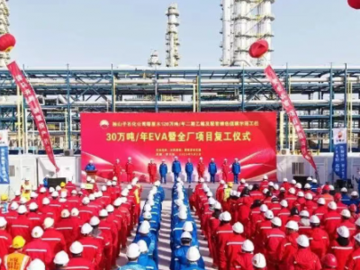 30 万吨 / 年 EVA 装置，正式复工