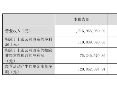 净利润大增168.92%，道恩股份一季度财报公布